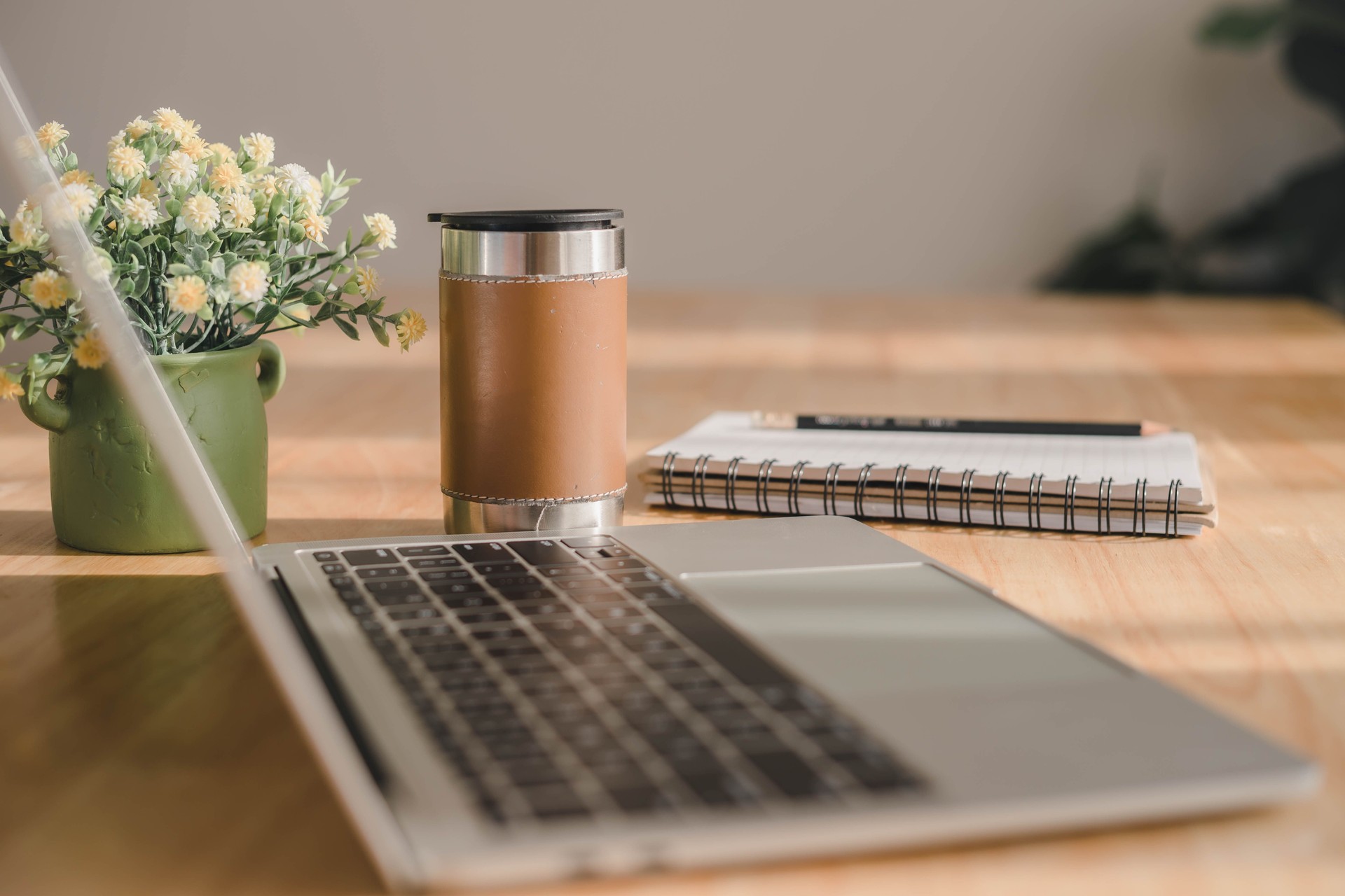 laptop computer, coffee cup, notebook and houseplant.